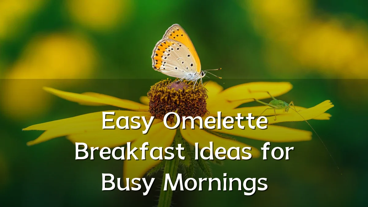 Easy Omelette Breakfast Ideas for Busy Mornings