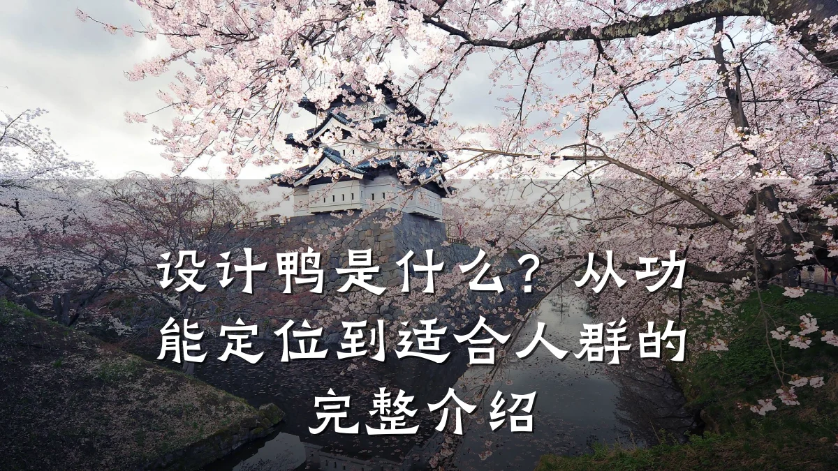 设计鸭是什么?从功能定位到适合人群的完整介绍