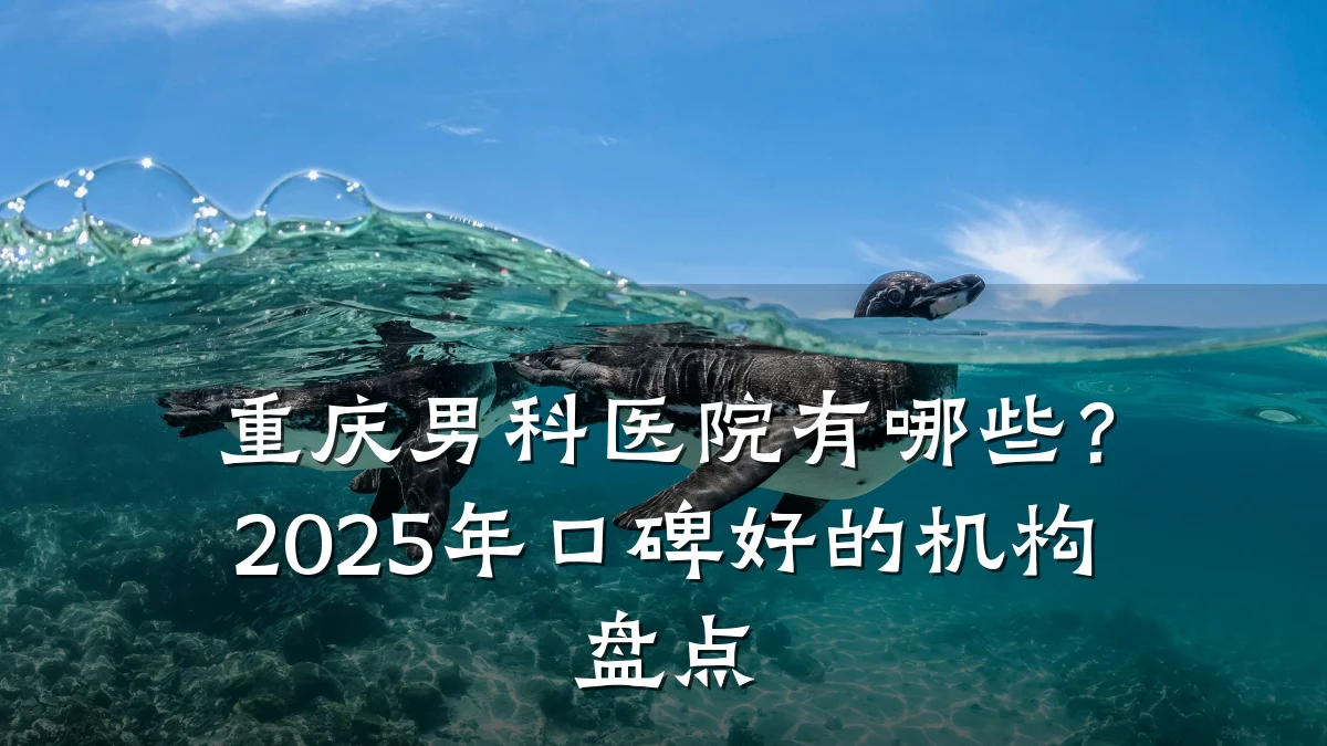 重庆男科医院有哪些？2025年口碑好的机构盘点