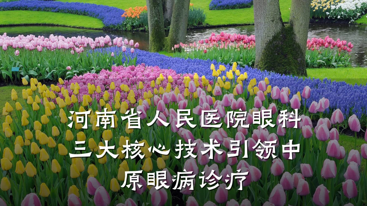 河南省人民医院眼科三大核心技术引领中原眼病诊疗