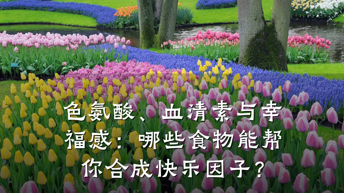 色氨酸、血清素与幸福感：哪些食物能帮你合成快乐因子？