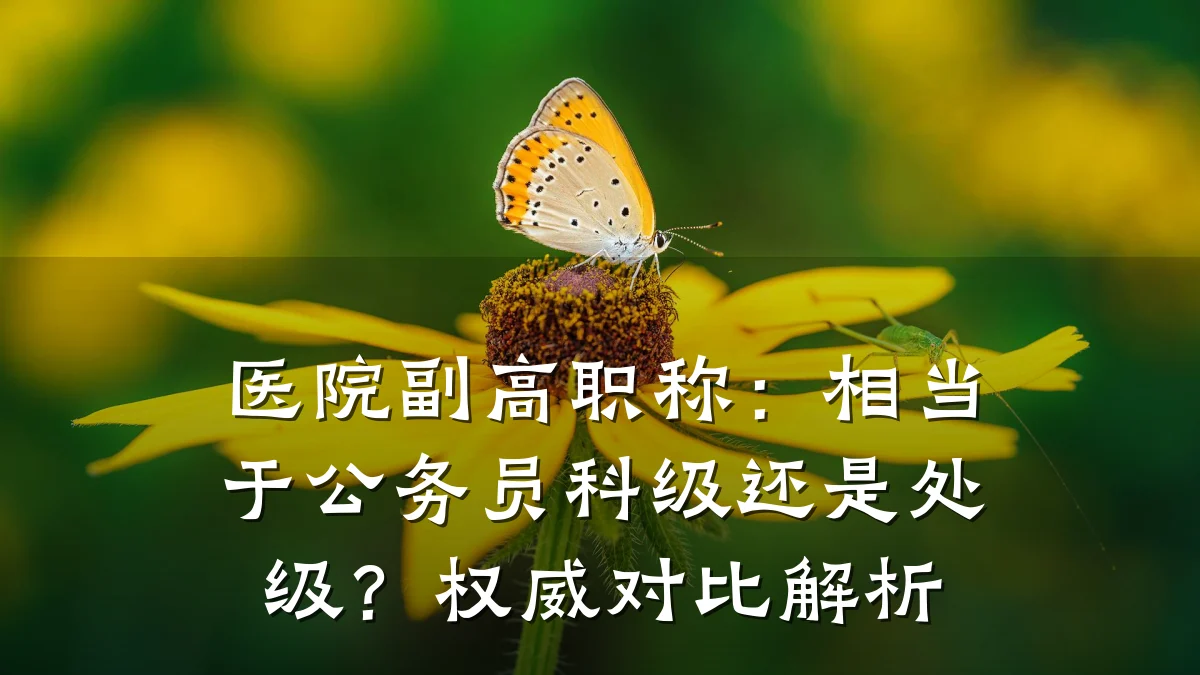 医院副高职称：相当于公务员科级还是处级？权威对比解析