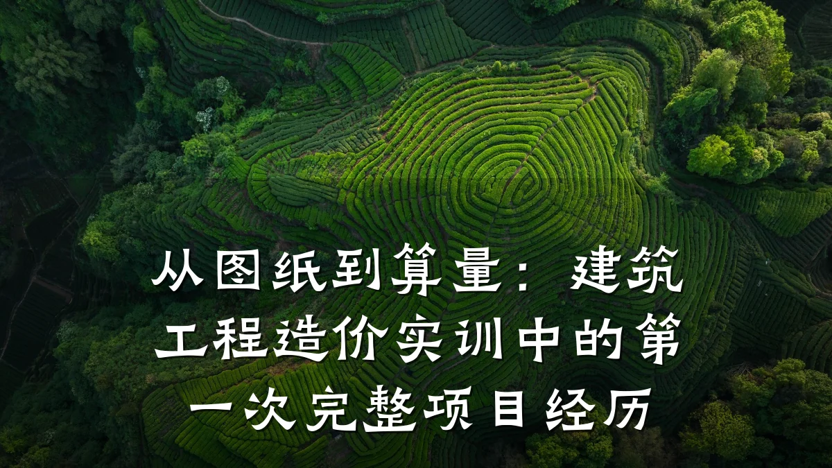 从图纸到算量:建筑工程造价实训中的第一次完整项目经历