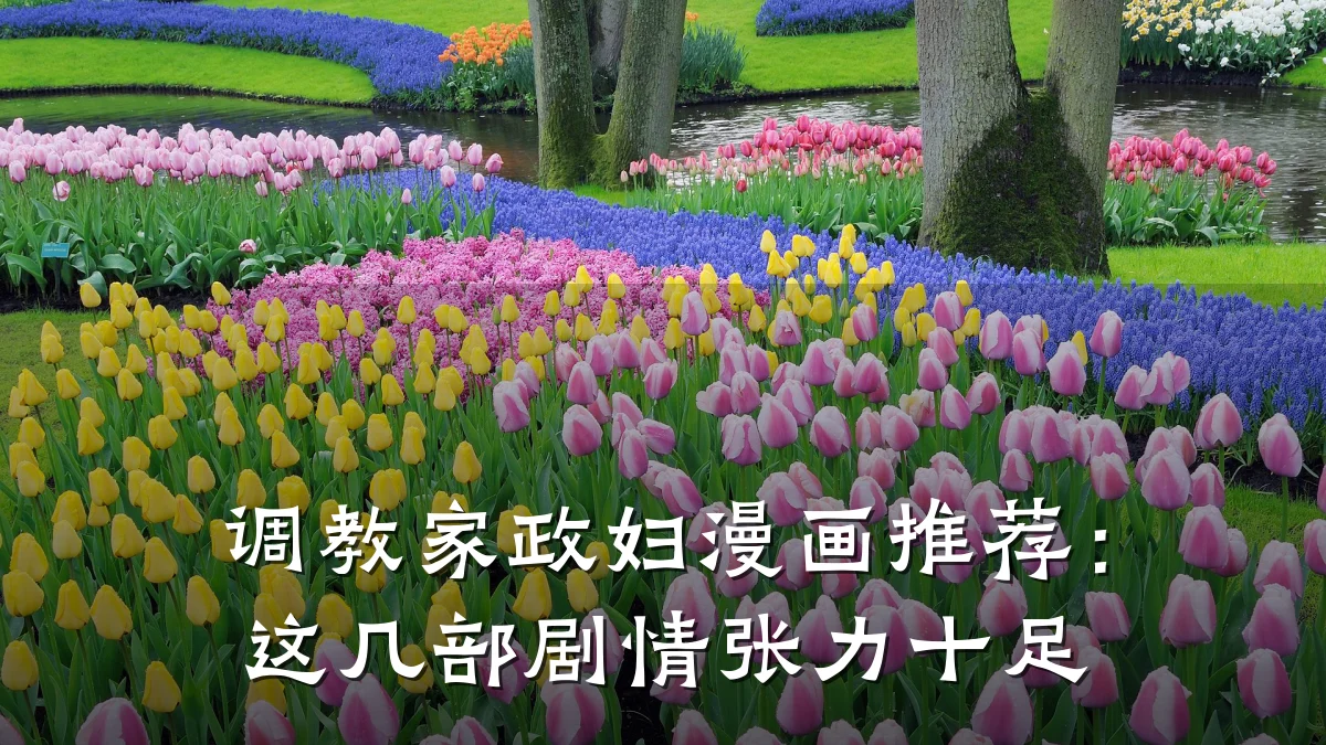 调教家政妇漫画推荐:这几部剧情张力十足