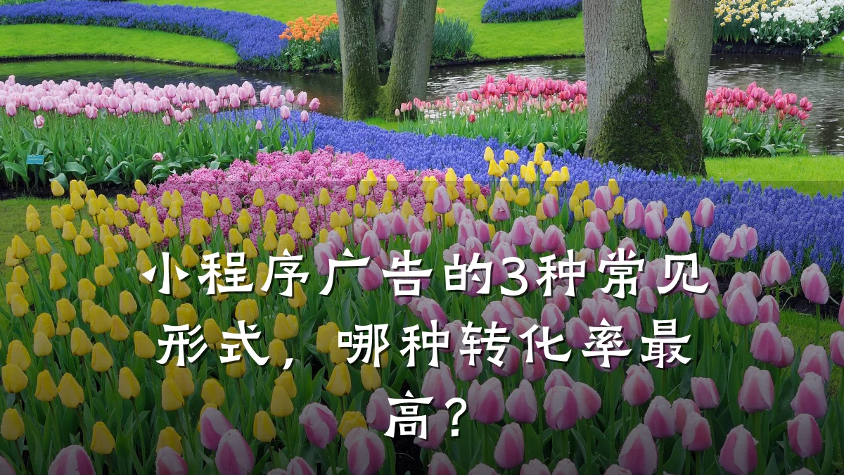 小程序广告的3种常见形式,哪种转化率最高?