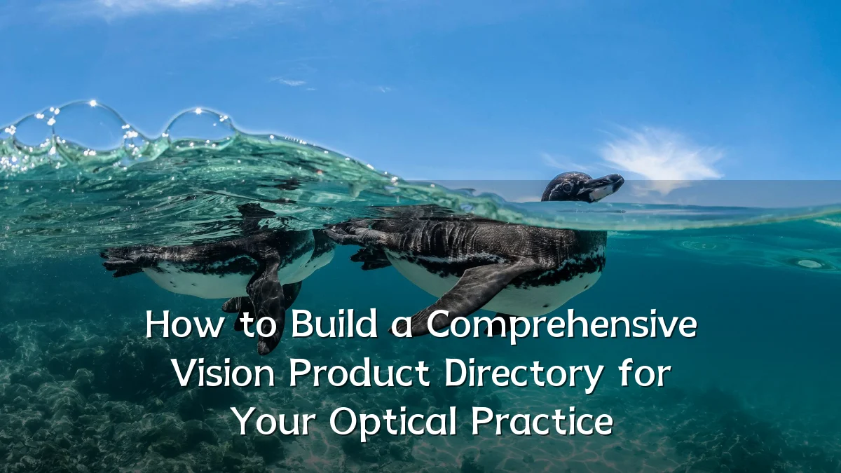 How to Build a Comprehensive Vision Product Directory for Your Optical Practice