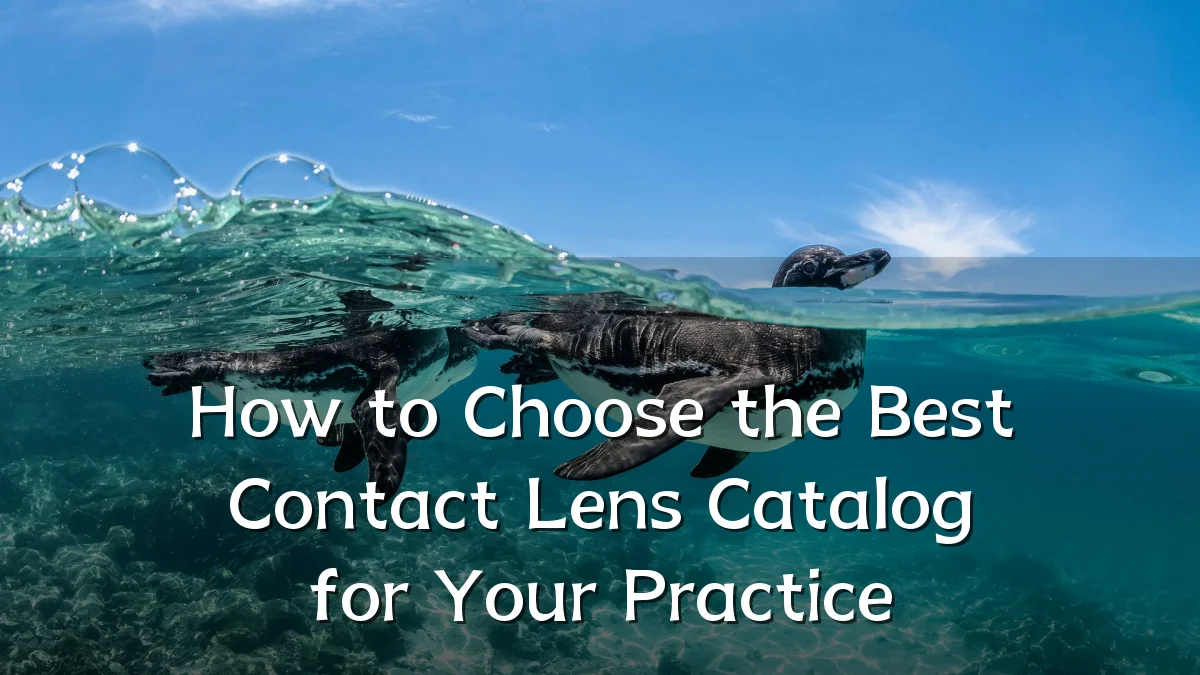 How to Choose the Best Contact Lens Catalog for Your Practice