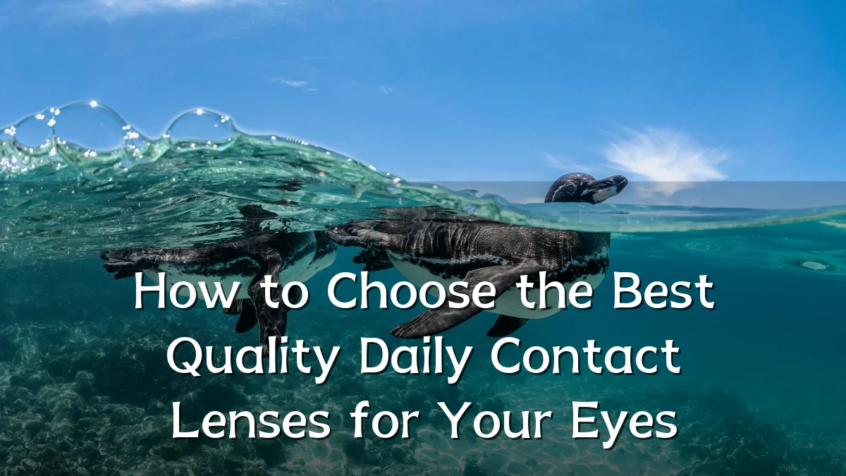 How to Choose the Best Quality Daily Contact Lenses for Your Eyes