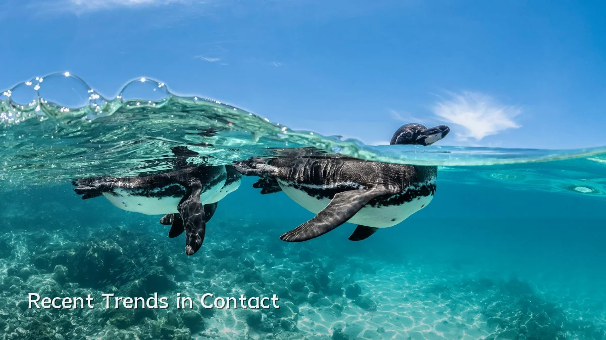 Recent Trends in Contact