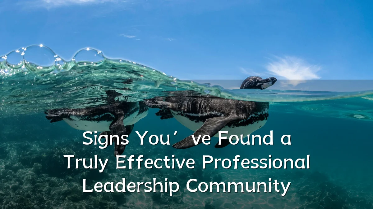Signs You’ve Found a Truly Effective Professional Leadership Community