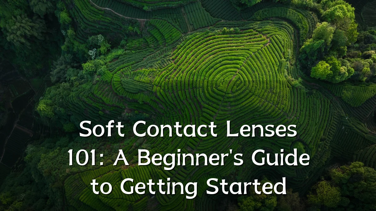 Soft Contact Lenses 101: A Beginner's Guide to Getting Started