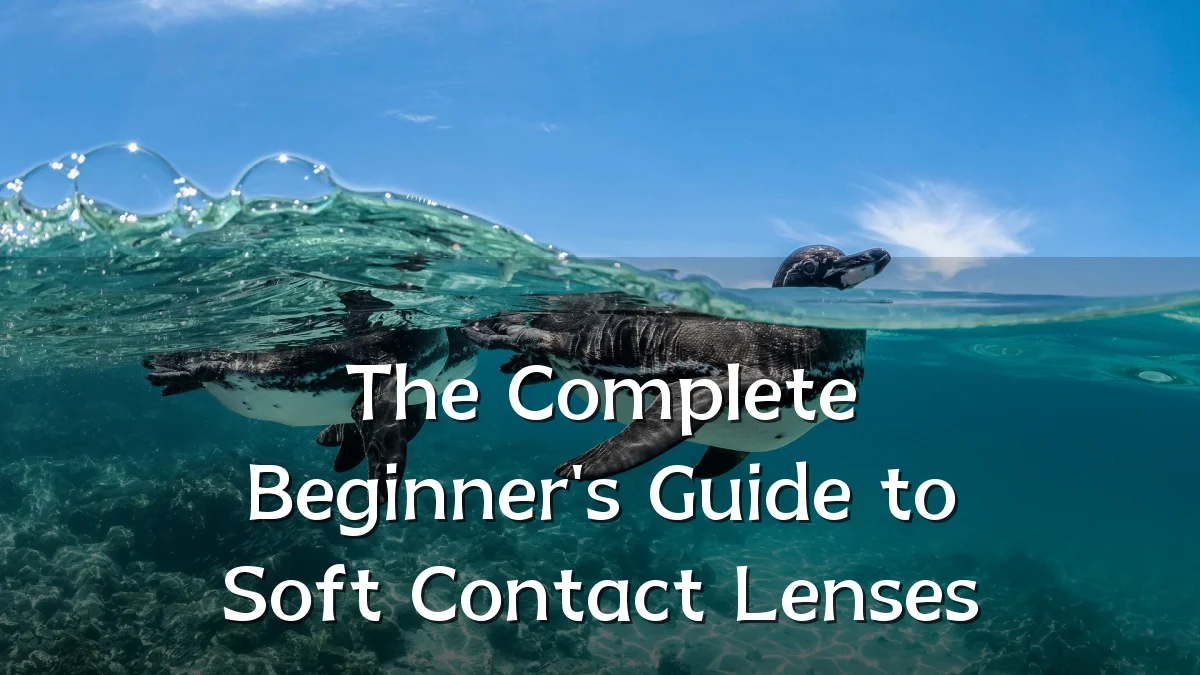 The Complete Beginner's Guide to Soft Contact Lenses