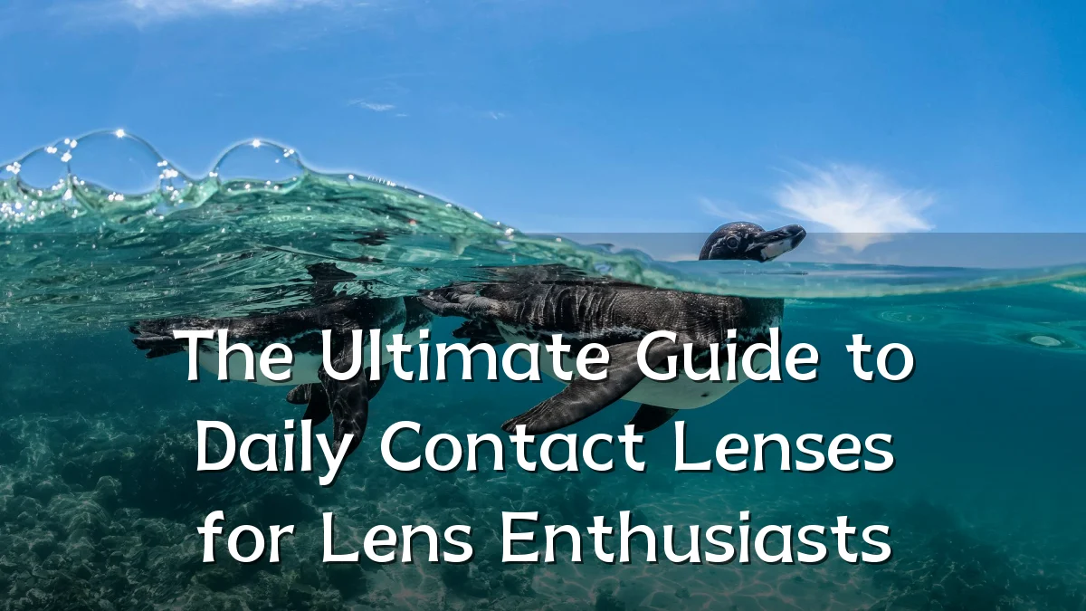 The Ultimate Guide to Daily Contact Lenses for Lens Enthusiasts