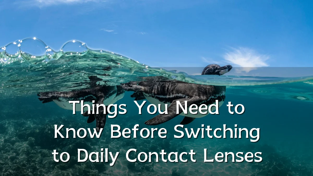 Things You Need to Know Before Switching to Daily Contact Lenses