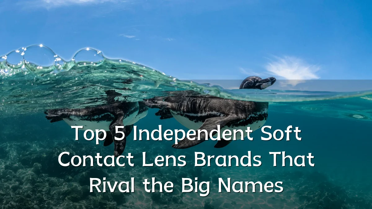 Top 5 Independent Soft Contact Lens Brands That Rival the Big Names