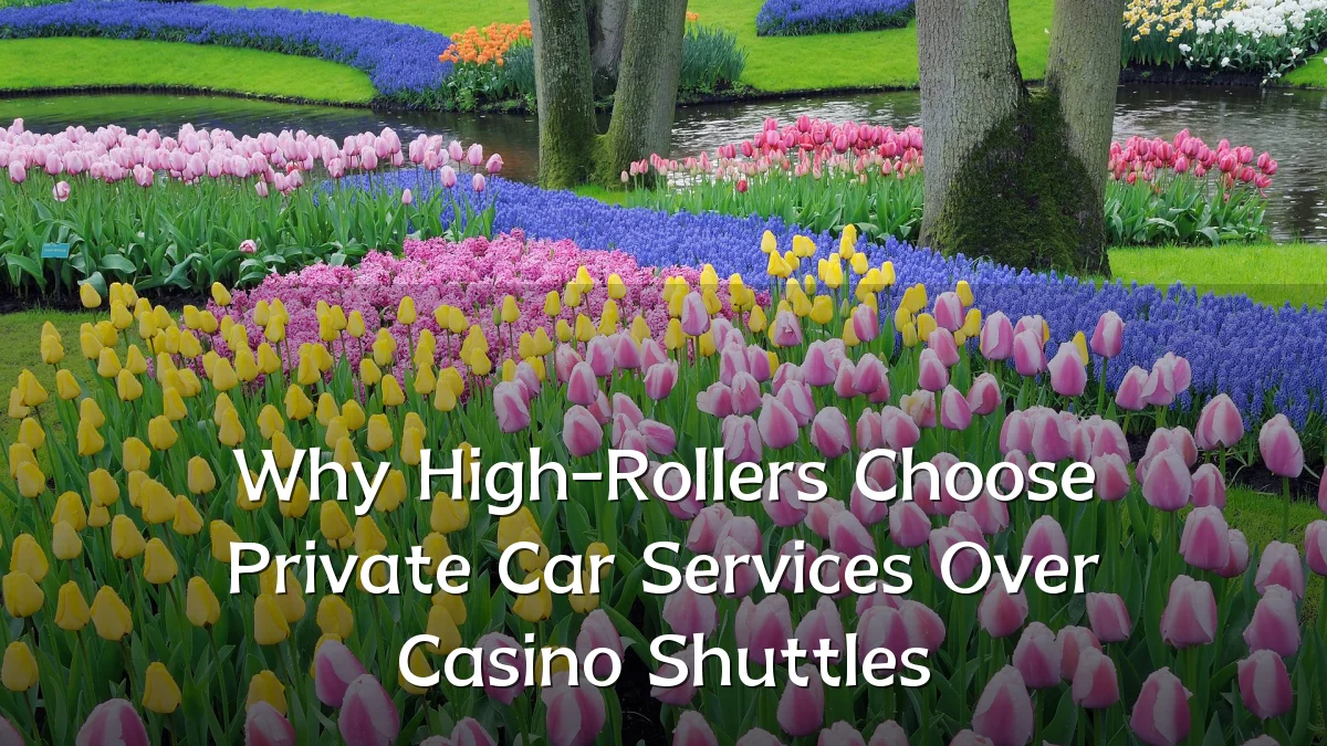 Why High-Rollers Choose Private Car Services Over Casino Shuttles