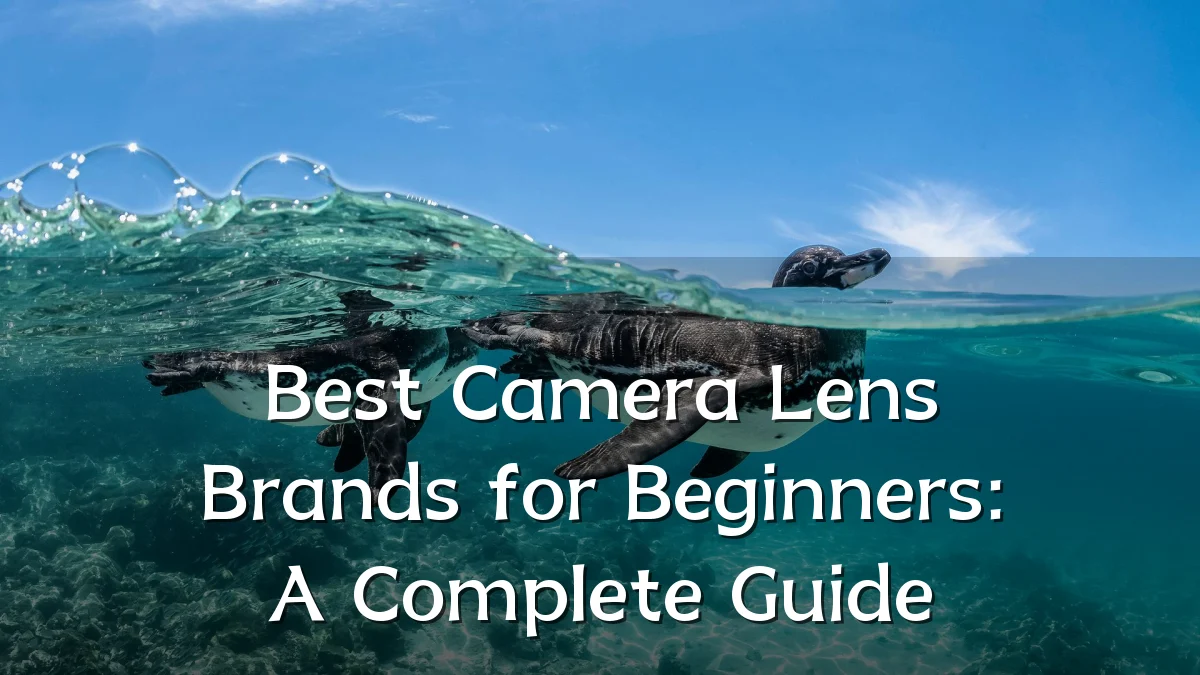 Best Camera Lens Brands for Beginners: A Complete Guide