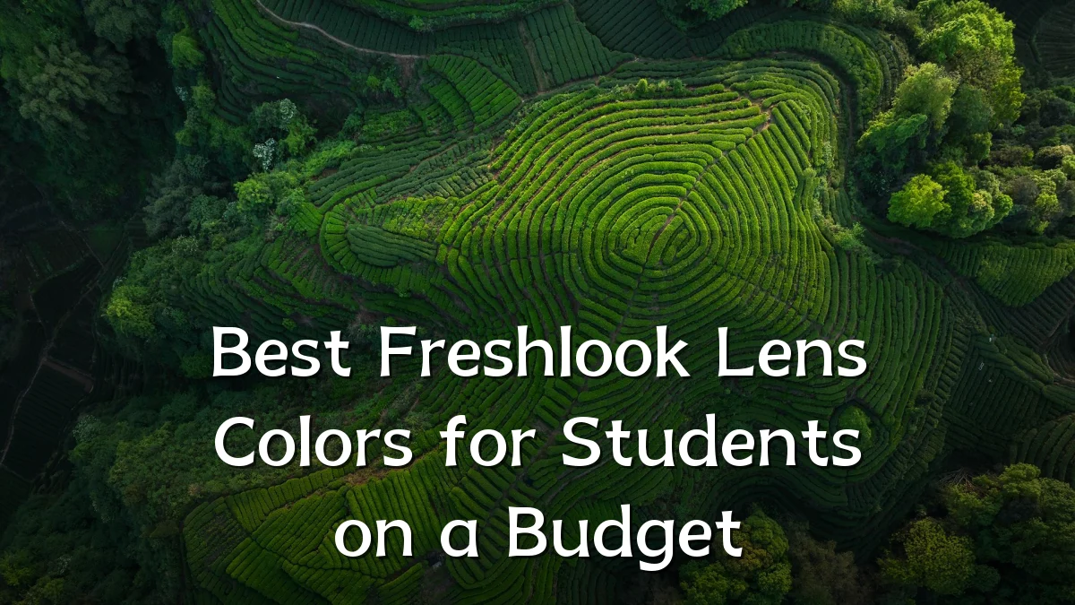 Best Freshlook Lens Colors for Students on a Budget