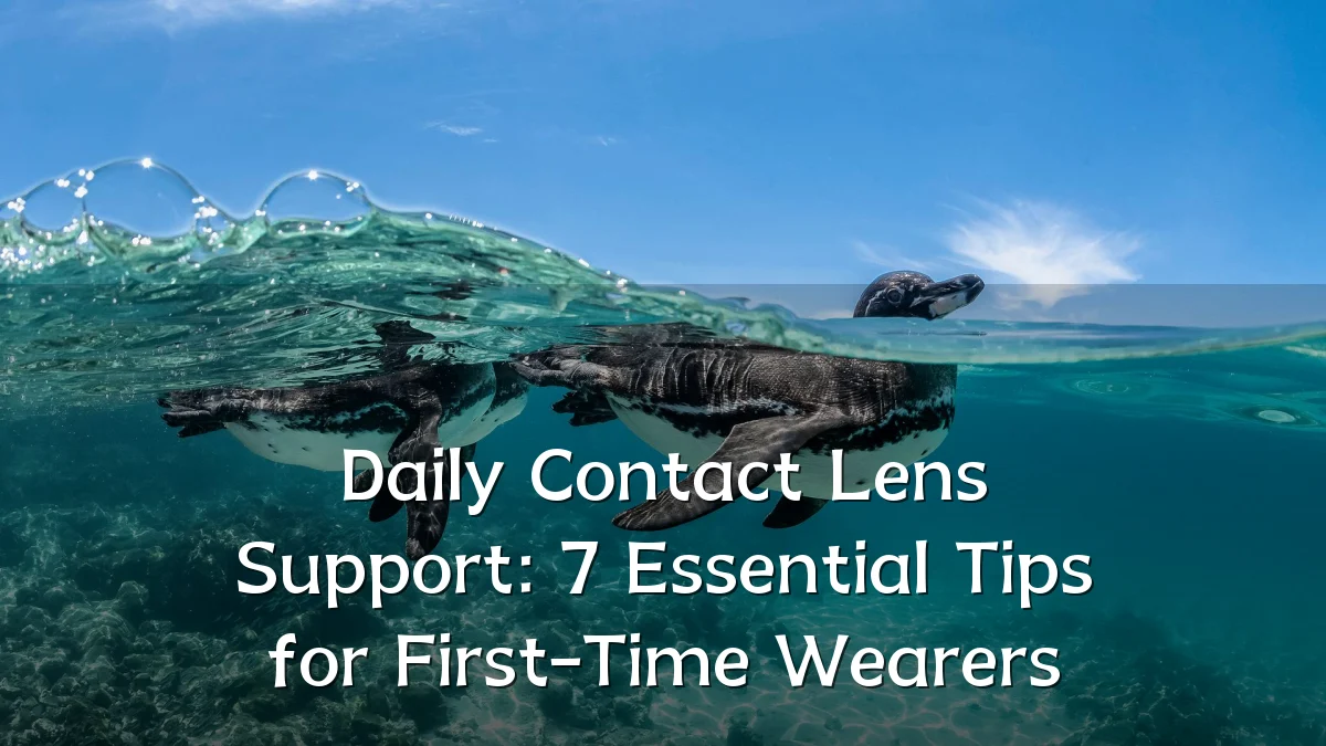 Daily Contact Lens Support: 7 Essential Tips for First-Time Wearers