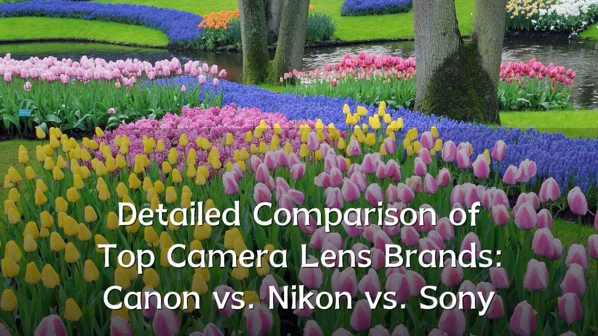 Detailed Comparison of Top Camera Lens Brands: Canon vs. Nikon vs. Sony