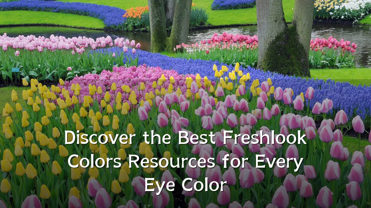 Discover the Best Freshlook Colors Resources for Every Eye Color