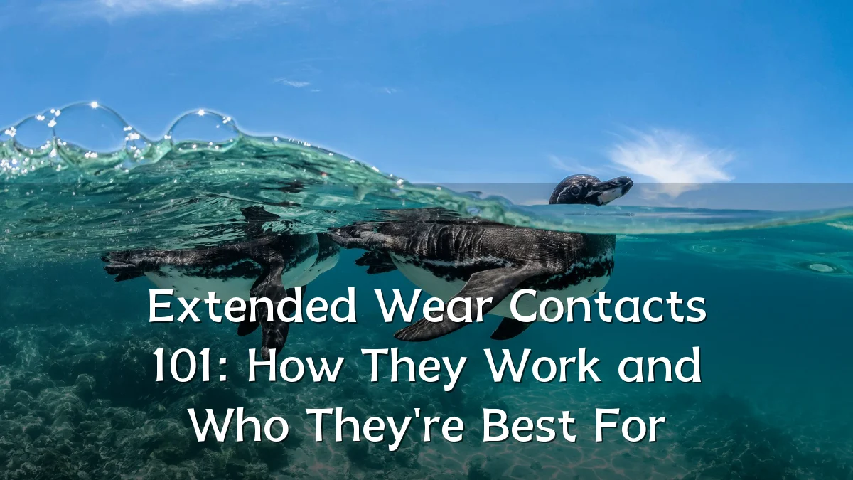 Extended Wear Contacts 101: How They Work and Who They're Best For