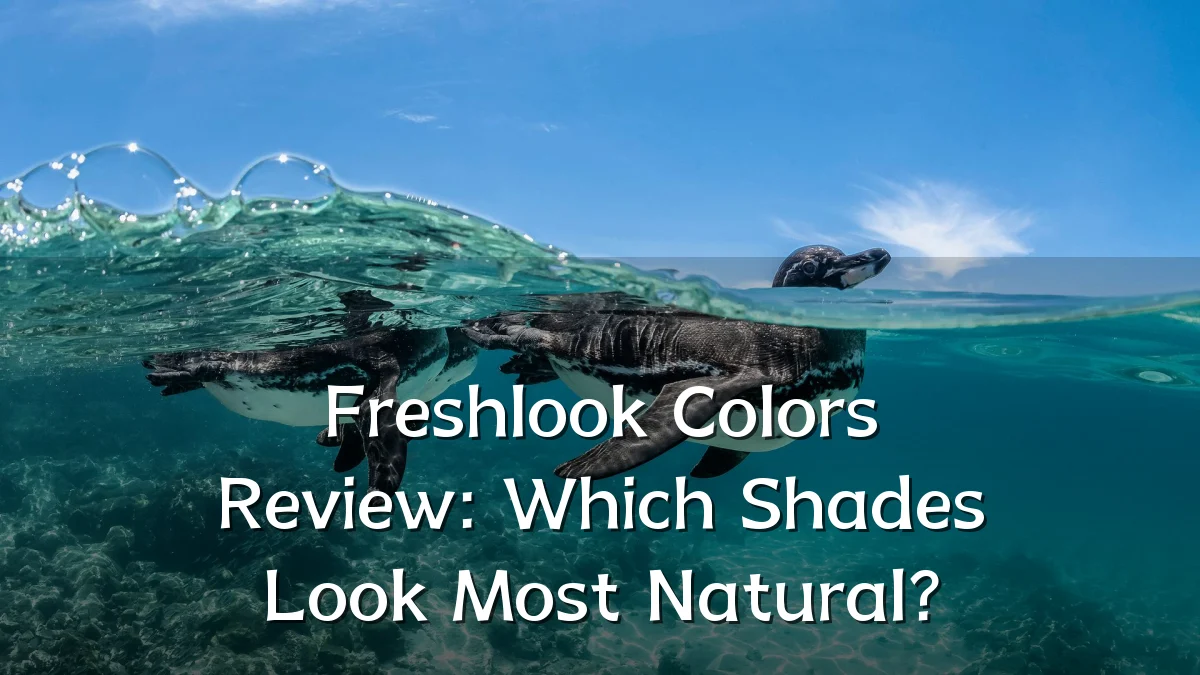 Freshlook Colors Review: Which Shades Look Most Natural?