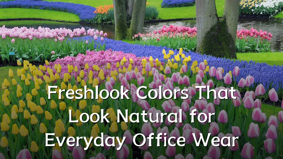 Freshlook Colors That Look Natural for Everyday Office Wear