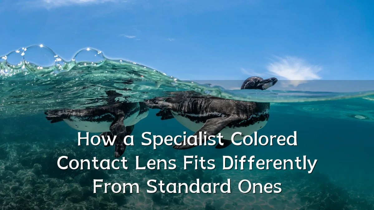 How a Specialist Colored Contact Lens Fits Differently From Standard Ones