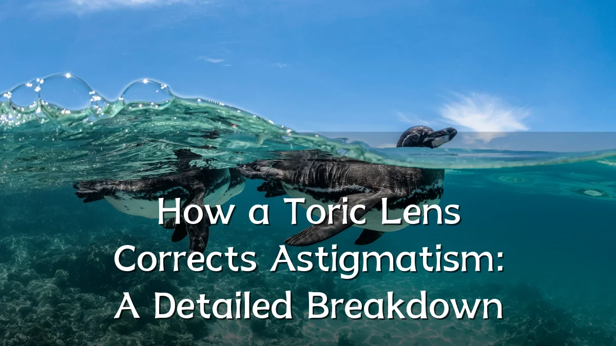 How a Toric Lens Corrects Astigmatism: A Detailed Breakdown