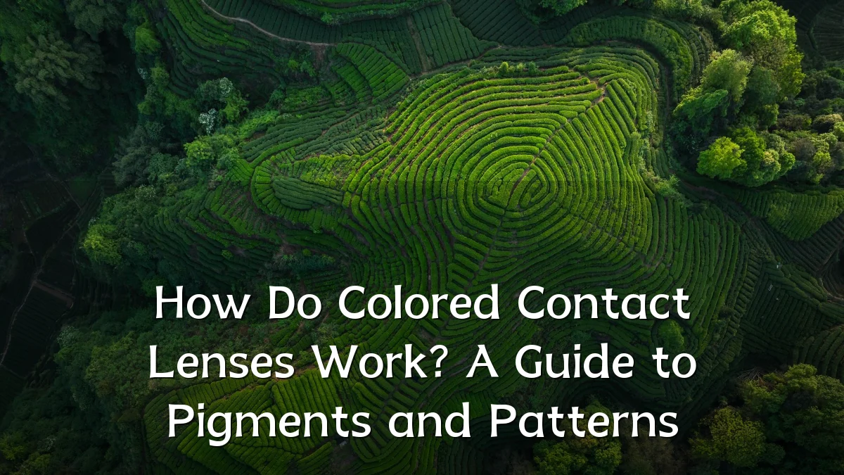 How Do Colored Contact Lenses Work? A Guide to Pigments and Patterns