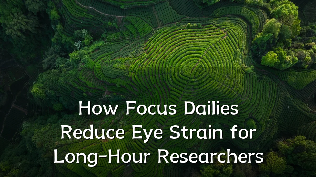 How Focus Dailies Reduce Eye Strain for Long-Hour Researchers