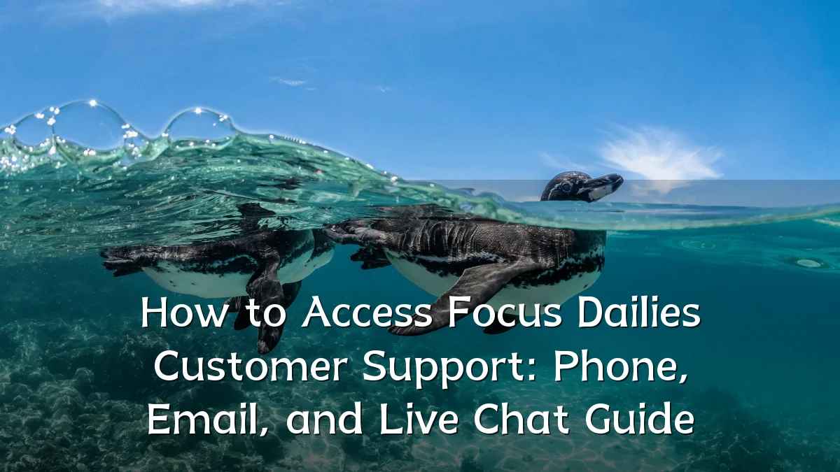 How to Access Focus Dailies Customer Support: Phone, Email, and Live Chat Guide
