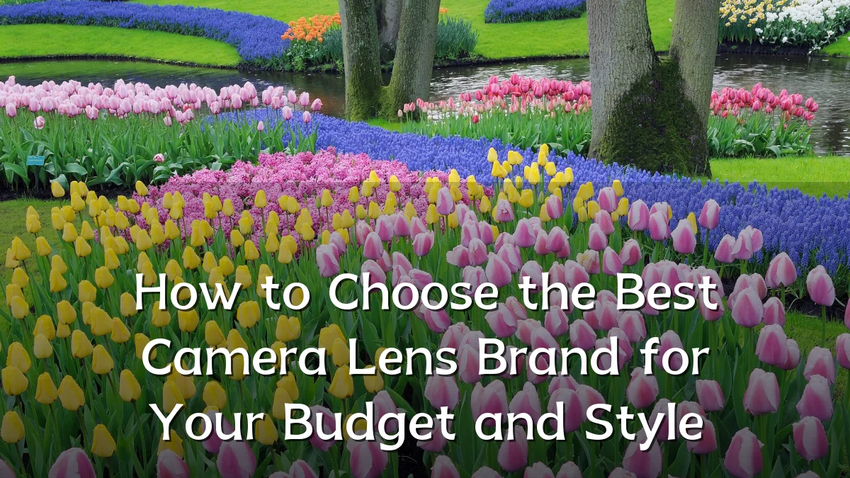 How to Choose the Best Camera Lens Brand for Your Budget and Style