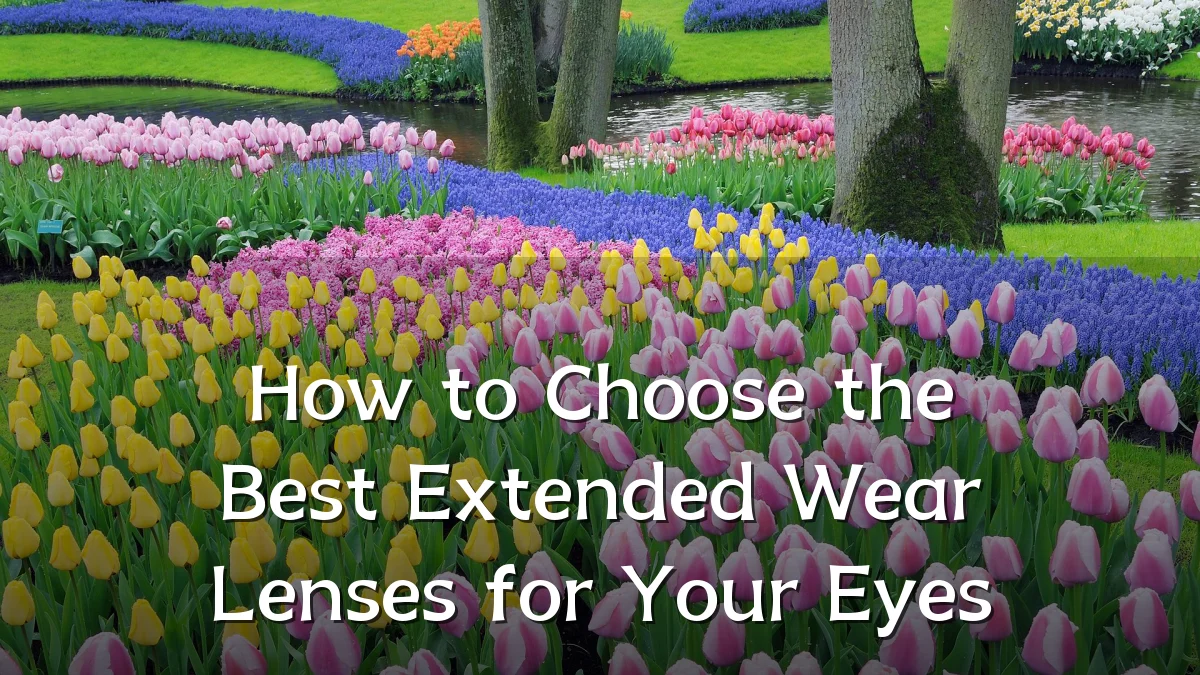 How to Choose the Best Extended Wear Lenses for Your Eyes