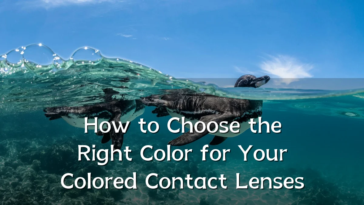 How to Choose the Right Color for Your Colored Contact Lenses