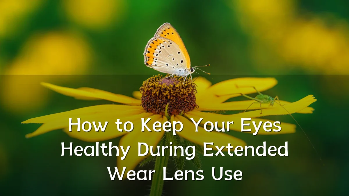 How to Keep Your Eyes Healthy During Extended Wear Lens Use