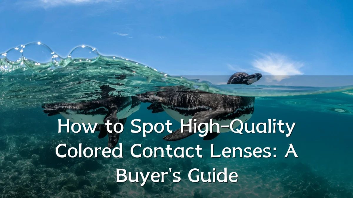 How to Spot High-Quality Colored Contact Lenses: A Buyer's Guide