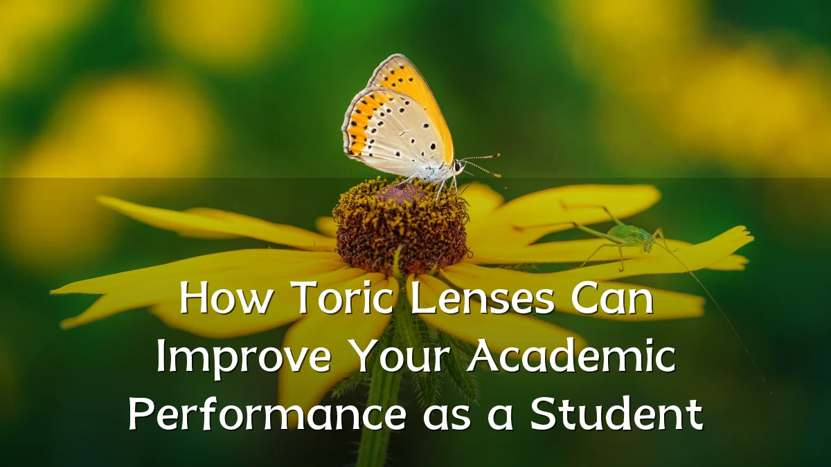 How Toric Lenses Can Improve Your Academic Performance as a Student