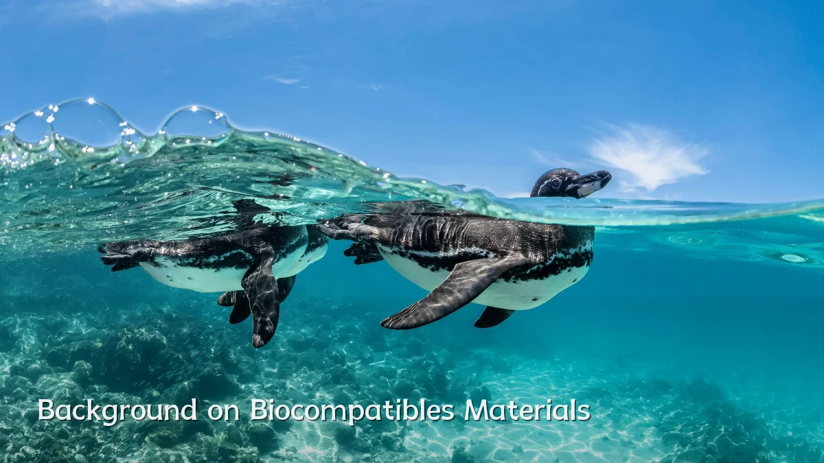 Background on Biocompatibles Materials