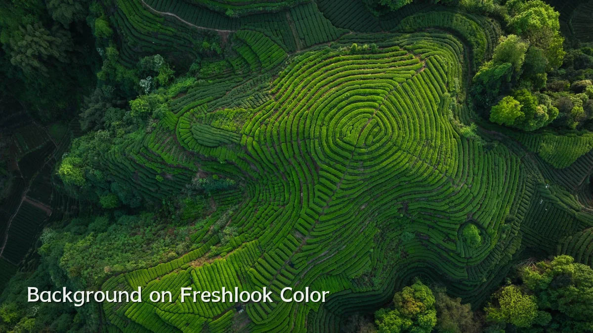 Background on Freshlook Color