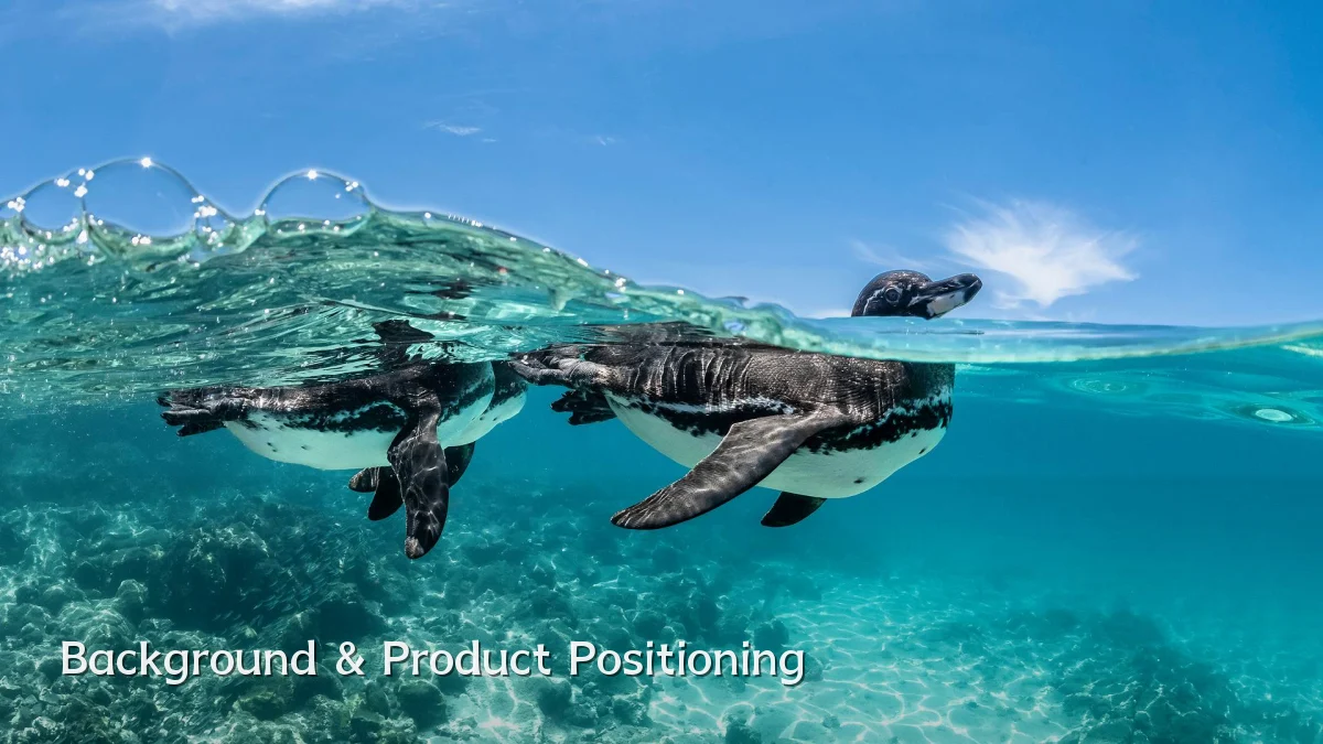 Background & Product Positioning
