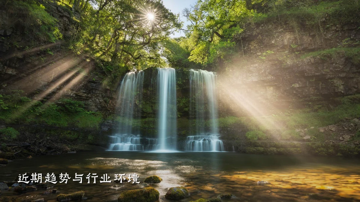 近期趋势与行业环境