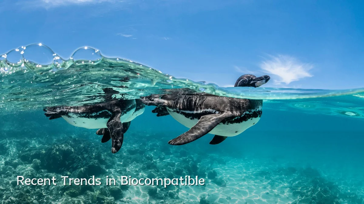 Recent Trends in Biocompatible