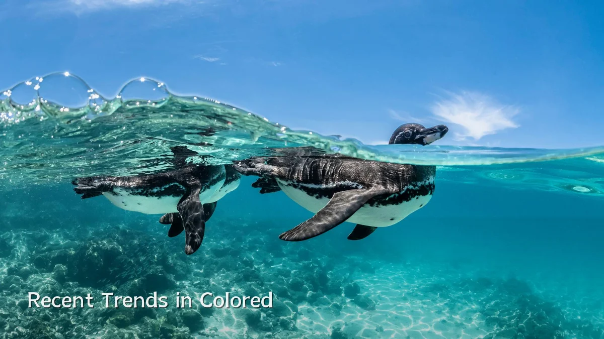 Recent Trends in Colored