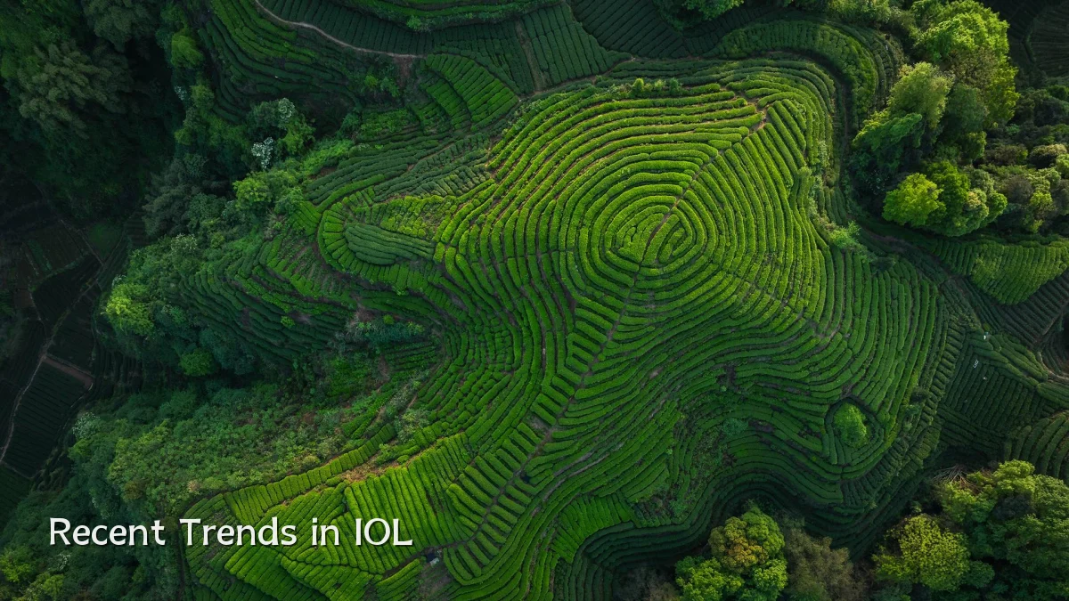Recent Trends in IOL