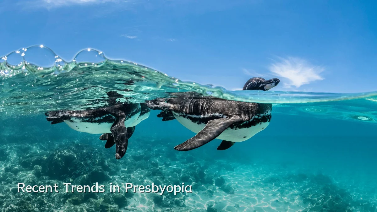 Recent Trends in Presbyopia
