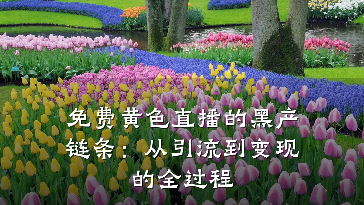 免费黄色直播的黑产链条:从引流到变现的全过程