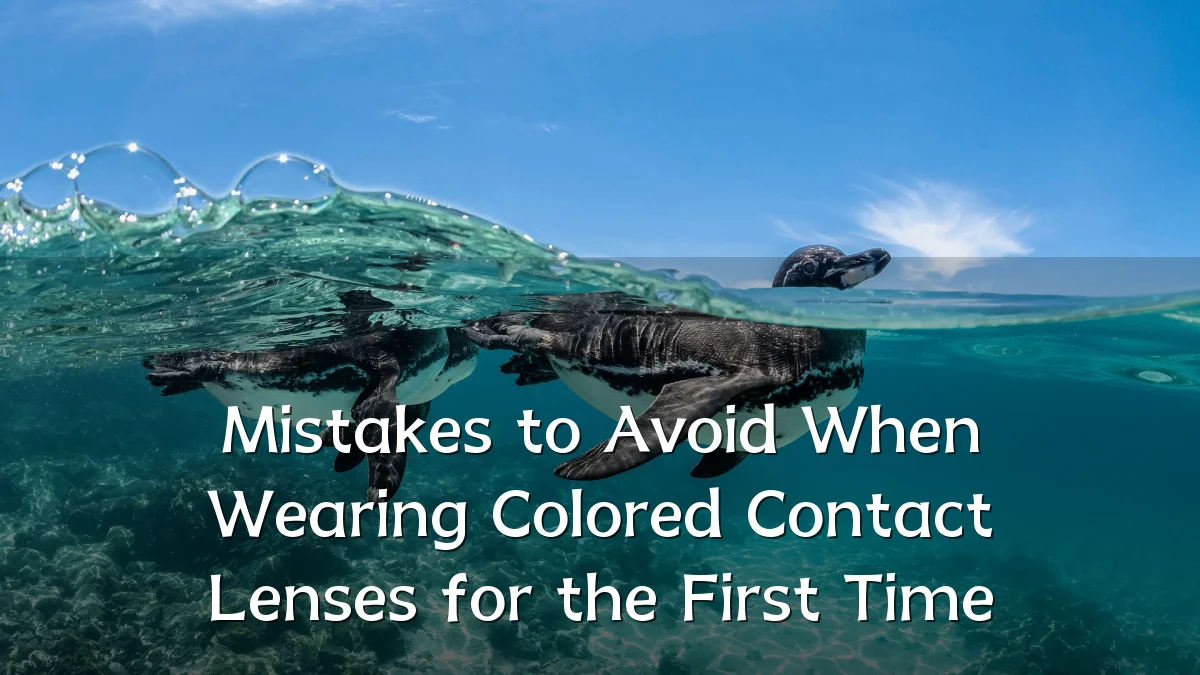 Mistakes to Avoid When Wearing Colored Contact Lenses for the First Time