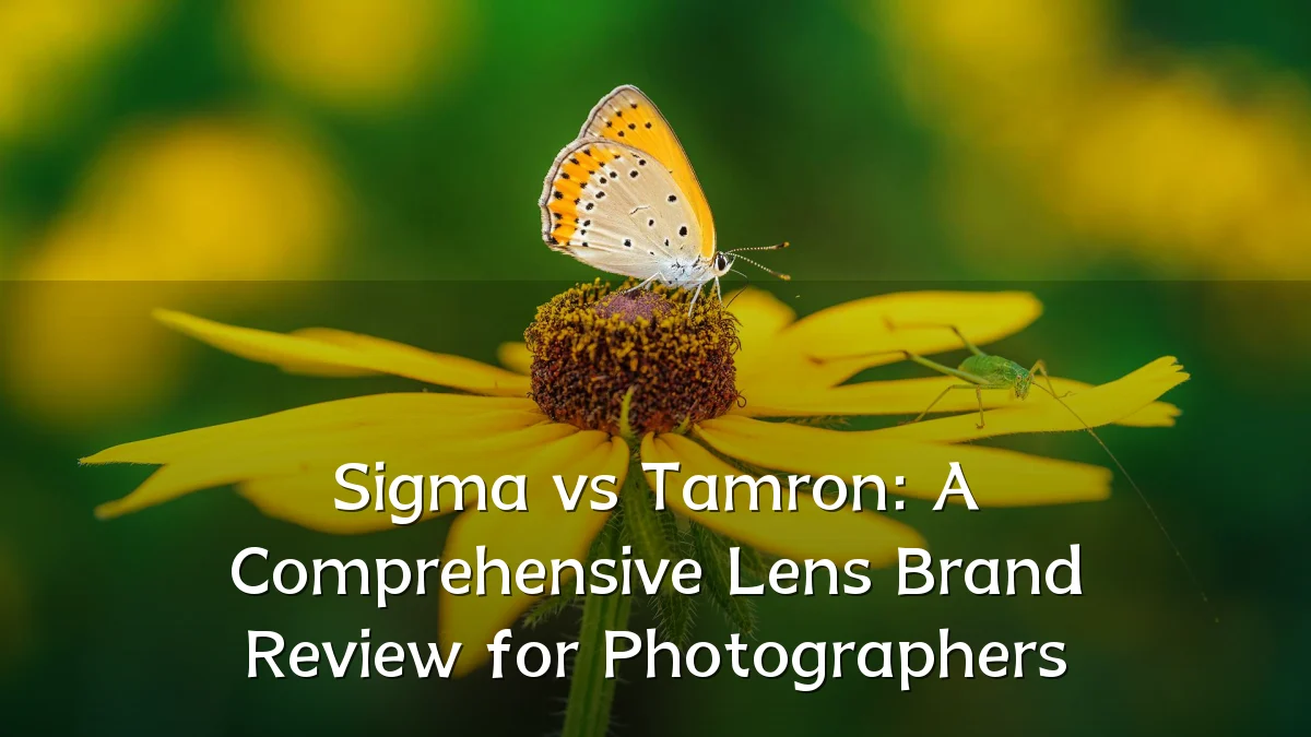 Sigma vs Tamron: A Comprehensive Lens Brand Review for Photographers